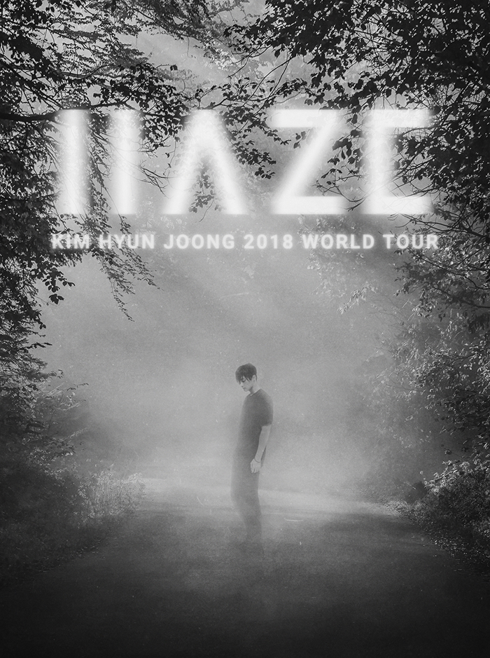 22affiche_Haze_World_Tour.jpg