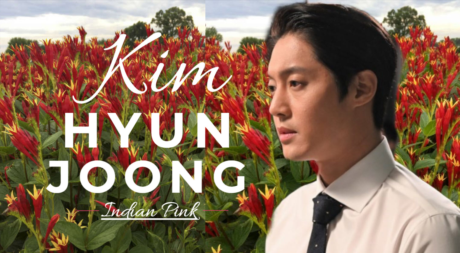 Kim Hyun Joong : why the name 'Indian Pink'? - kimhyunjoong-france